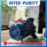 Bơm công nghiệp INTER-PURITY CM32-160B 2.2KW 3HP
