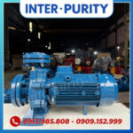 Máy bơm công nghiệp INTER-PURITY CM32-160C 1.5KW 2HP