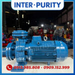Máy bơm công nghiệp nhập khẩu INTER-PURITY CM40-160A 4KW 5.5HP