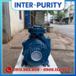Máy bơm công nghiệp nhập khẩu INTER-PURITY CM40-160A 4KW 5.5HP