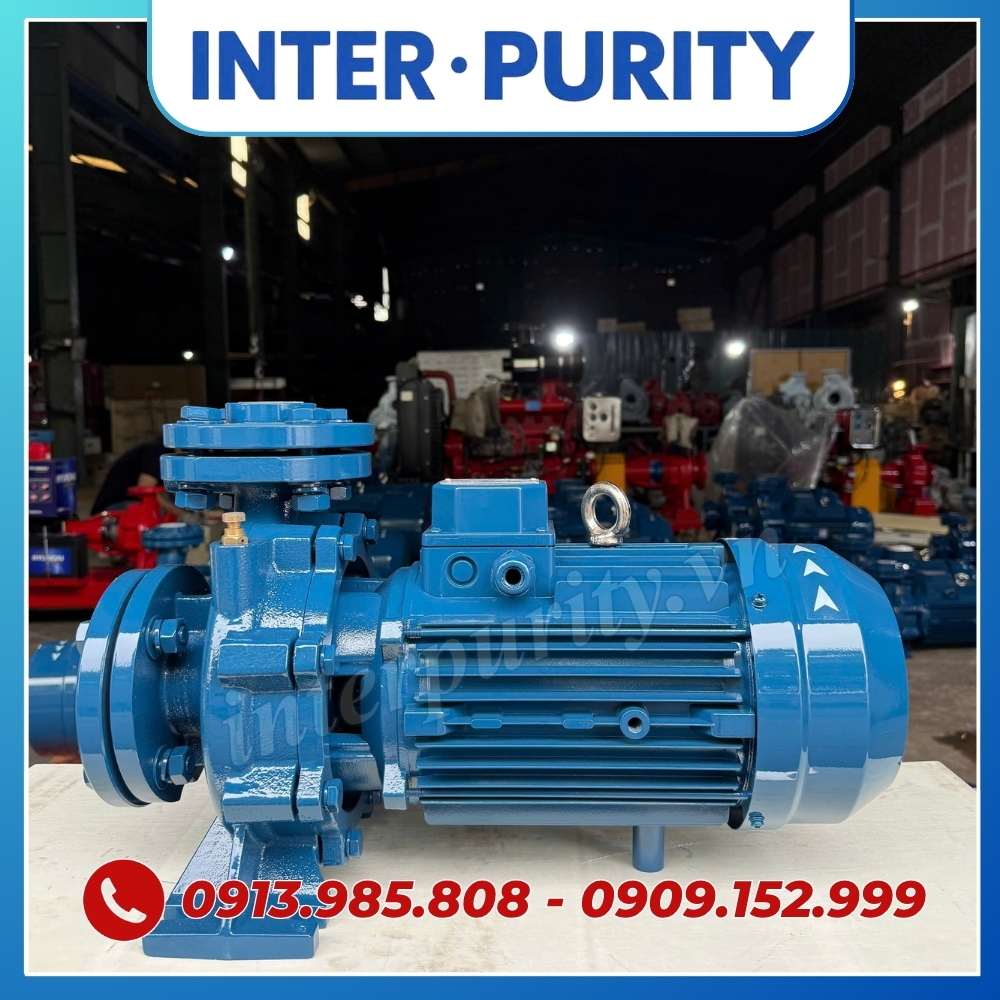 Máy bơm công nghiệp nhập khẩu INTER-PURITY CM40-160A 4KW 5.5HP
