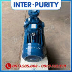 Máy bơm nước công nghiệp 10HP 7.5KW INTER-PURITY CM50-160A