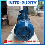 Máy bơm công nghiệp 7.5HP INTER-PURITY CM65-125B 5.5KW