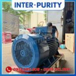Máy bơm công nghiệp 37KW 50HP INTER-PURITY CM65-250A