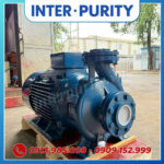 Máy bơm công nghiệp 37KW 50HP INTER-PURITY CM65-250A