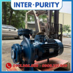 Máy bơm công nghiệp trục liền 11KW 15HP INTER-PURITY CM80-160D