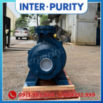 Máy bơm công nghiệp trục liền 11KW 15HP INTER-PURITY CM80-160D