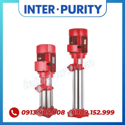 Máy bơm trục đứng nhập khẩu INTER-PURITY PV 6×15/4 3KW 4HP