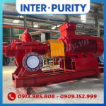 Bơm ly tâm trục ngang 2 cửa hút INTER-PURITY PSC 100-310