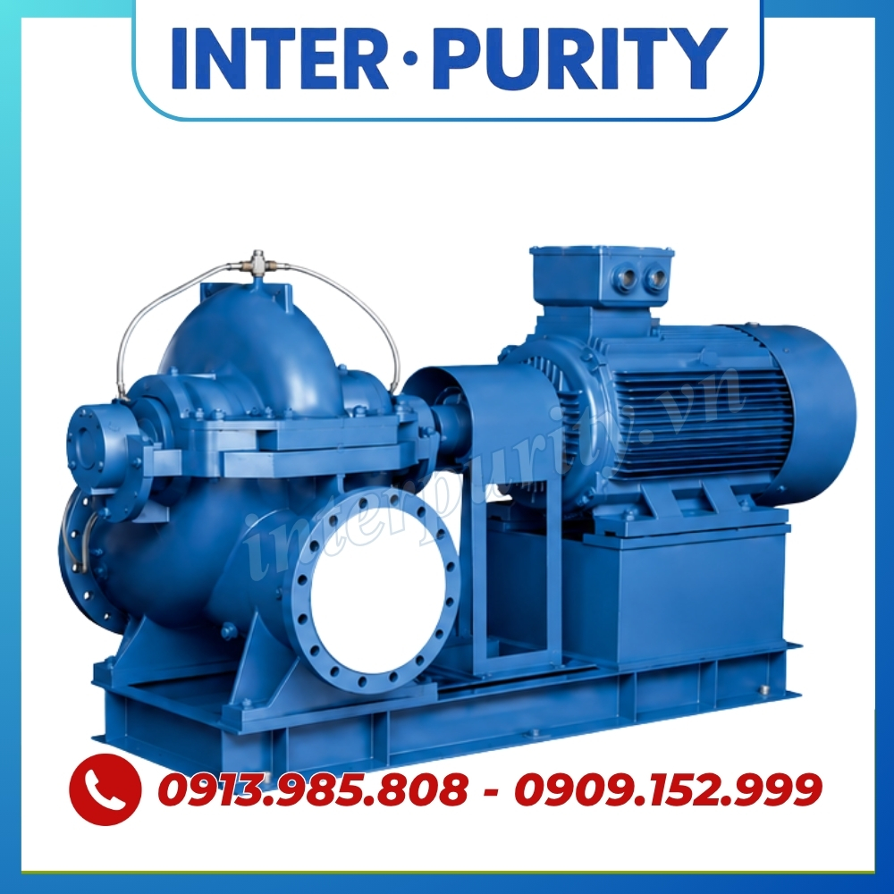 Máy bơm 2 cửa hút INTER-PURITY
