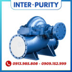 Máy bơm nước 2 cửa hút INTER-PURITY PSC 100-250