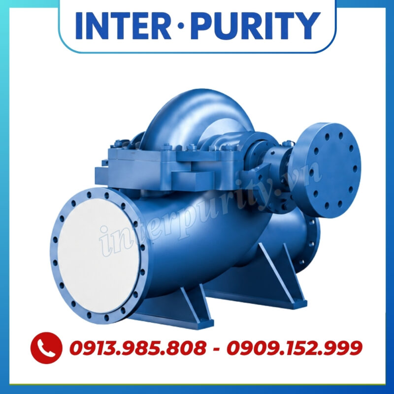 Máy bơm nước 2 cửa hút INTER-PURITY PSC 100-250