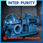 Máy bơm nước 2 cửa hút INTER-PURITY PSC 100-250